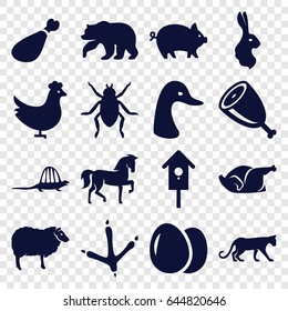 Animal icons set. set of 16 animal filled icons such as chicken, egg, pig, bear, panther, horse, beetle, goose, footprint of  icobird, sheep, rabbit, meat leg, nesting house
