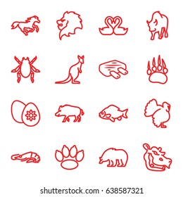 Animal icons set. set of 16 animal outline icons such as animal paw, hog, alligator, bear, lion, beetle, fish, horse, cangaroo, buffalo, turkey, hippopotamus, swan heart