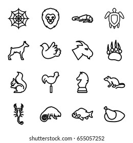 Animal icons set. set of 16 animal outline icons such as animal paw, lion, alligator, dog, fish, mouse, goat, scorpion, squirrel, chameleon, spider web, weather vane, bird