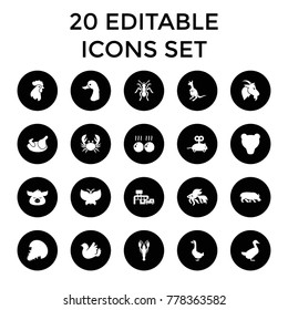 Animal icons. set of 20 editable filled animal icons such as chicken, crab, kangaroo, fish, goose, mouse toy, bear, bird. best quality animal elements in trendy style.