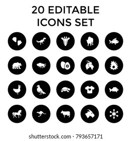 Animal icons. set of 20 editable filled animal icons such as giraffe, cow, horse, goat, buffalo, kangaroo, fish. best quality animal elements in trendy style.