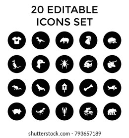 Animal icons. set of 20 editable filled animal icons such as pig, goose, fish, beetle, seal, dinosaur, t-shirt with heart, bear. best quality animal elements in trendy style.