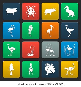 Animal icons set. 