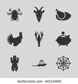 Animal icons set. set of 9 animal filled icons such as bear, crab, beetle, goat, spider web, turkey, chicken, piggy bank