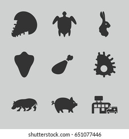 Animal icons set. set of 9 animal filled icons such as pig, animal fang, rabbit, hippopotamus, meat leg, hospital, turtle  illsutration