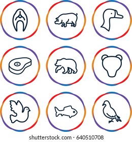 Animal icons set. set of 9 animal outline icons such as bear, dove, pig, goose, fish, beef