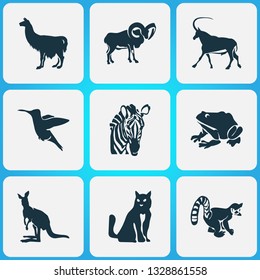Animal icons set with antelope, kangaroo, lemur and other gazelle elements. Isolated vector illustration animal icons.