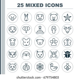 Animal Icons Set. Collection Of Beetle, Starfish, Bunny And Other Elements. Also Includes Symbols Such As Cobweb, Butterfly, Ladybird.