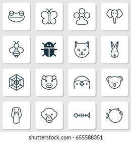 Animal Icons Set. Collection Of Bumblebee, Diver, Toad And Other Elements. Also Includes Symbols Such As Piglet, Hare, Honey.