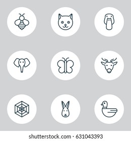 Animal Icons Set. Collection Of Bunny, Goose, Duck And Other Elements. Also Includes Symbols Such As Bee, Moth, Butterfly.