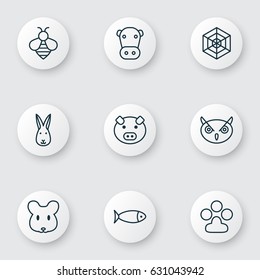 Animal Icons Set. Collection Of Cobweb, Kine, Piglet And Other Elements. Also Includes Symbols Such As Print, Milk, Seafood.