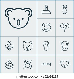 Animal Icons Set. Collection Of Kine, Ladybird, Spider And Other Elements. Also Includes Symbols Such As Bunny, Serpent, Koala.