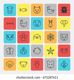 Animal Icons Set. Collection Of Kitten, Beetle, Moth And Other Elements. Also Includes Symbols Such As Cat, Moth, Ladybird. Animal Icons Set. Collection Of Kitten, Beetle, Moth And Other Elements. Also Includes Symbols Such As Cat, Moth, Ladybird.