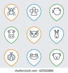 Animal Icons Set. Collection Of Marsupial, Toad, Kine And Other Elements. Also Includes Symbols Such As Spider, Bunny, Claw.