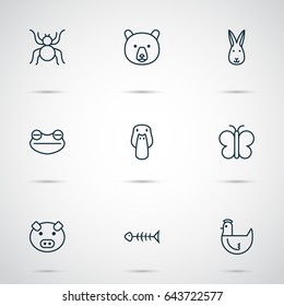 Animal Icons Set. Collection Of Moth, Duck, Bunny And Other Elements. Also Includes Symbols Such As Butterfly, Pig, Toad.