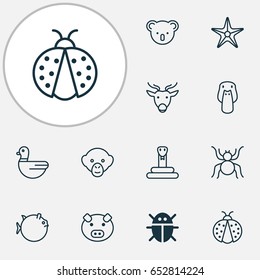 Animal Icons Set. Collection Of Piglet, Butterflyfish, Ladybird And Other Elements. Also Includes Symbols Such As Ladybird, Globefish, Piggy.