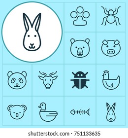 Animal Icons Set. Collection Of Piglet, Beetle, Goose And Other Elements. Also Includes Symbols Such As Hen, Bear, Arachnid.
