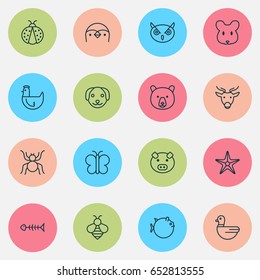 Animal Icons Set. Collection Of Puppy, Spider, Rat And Other Elements. Also Includes Symbols Such As Piggy, Insect, Chicken.