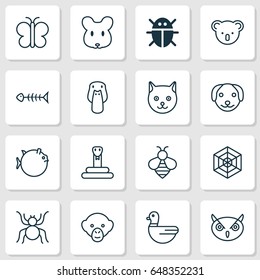 Animal Icons Set. Collection Of Rat, Marsupial, Cobweb And Other Elements. Also Includes Symbols Such As Puppy, Mouse, Rat.