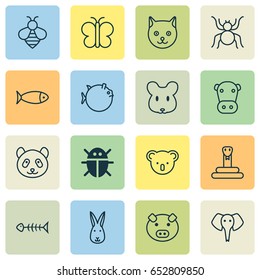 Animal Icons Set. Collection Of Spider, Seafood Skeleton, Rat And Other Elements. Also Includes Symbols Such As Butterfly, Pussy, Snake.