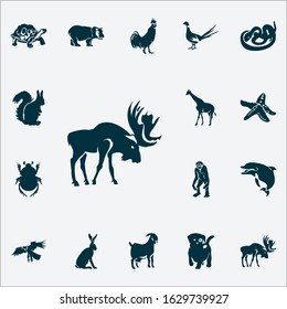 Animal icons set with gibbon, hippo, pheasant and other hawk elements. Isolated vector illustration animal icons.