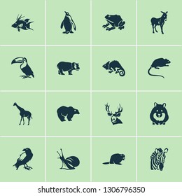 Animal icons set with hogfish, toucan, rat and other aquatic elements. Isolated vector illustration animal icons.