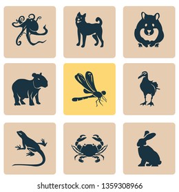 Animal icons set with lizard, hamster, dragonfly and other tentacle elements. Isolated vector illustration animal icons.