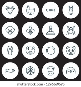 Animal icons set with mallard, rabbit, monkey and other bunny elements. Isolated vector illustration animal icons.