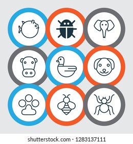 Animal icons set with paw, bee, bug and other trunked animal elements. Isolated vector illustration animal icons.