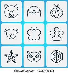 Animal icons set with paw, spider web, owl and other starfish elements. Isolated vector illustration animal icons.