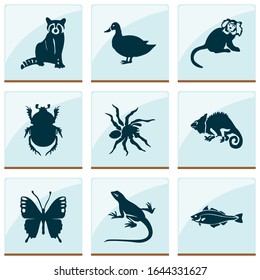 Animal icons set with raccoon, marmoset, duck and other ape elements. Isolated vector illustration animal icons.