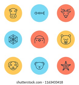 Animal icons set with spider web, cow, sea star and other grizzly elements. Isolated vector illustration animal icons.