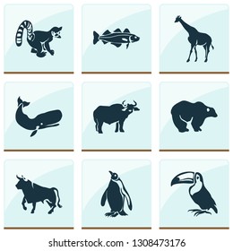 Animal icons set with toucan, penguin, cod fish and other camelopard elements. Isolated vector illustration animal icons.