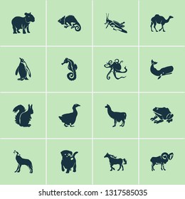 Animal icons set with wolf, capybara, cachalote and other alpaca elements. Isolated vector illustration animal icons.