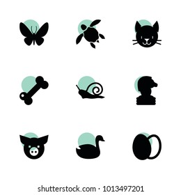 Animal icons. vector collection filled animal icons set.. includes symbols such as duck, eggs, chess, cat, pig, dog bone, snail, turtle. use for web, mobile and ui design.