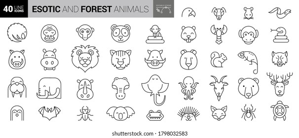 Animal icons vector illustrations set