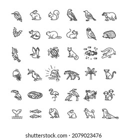 Animal icons. Vector outline icon set. Zoo Line animals concepts, Icons set