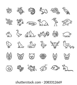 Animal icons. Vector outline icon set. Zoo Line animals concepts, Icons set