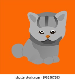 Animal illustration of cat, cute cat, vactor cat