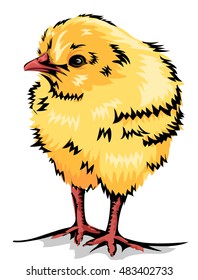 Animal Illustration of a Cute Yellow Chick 