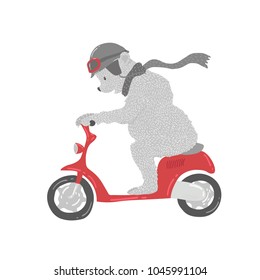 Animal illustration. Drawing illustration.The bear is riding a red bike. Without background. The T-shirt graphics. The cool cartoon characters