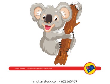 Animal Illustration of Koala Bear