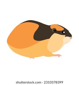 Animal illustration. Lemming drawn in a flat style. Isolated object on a white background. Vector 10 EPS