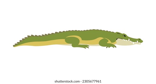 Ilustración animal. Cocodrilo tenedor dibujado en un estilo plano. Objeto aislado sobre un fondo blanco. Vector 10 EPS