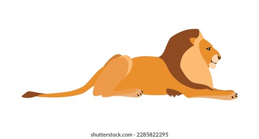 Animal illustration. Lying lion drawn in a flat style. Isolated object on a white background. Vector 10 EPS