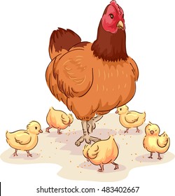 Animal Illustration of a Mother Hen Looking After Her Chicks While They Scrounge for Food