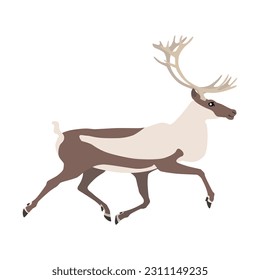 Animal illustration. Running caribou in a flat style. Isolated object on a white background. Vector 10 EPS