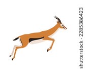 Animal illustration. Running Thomson