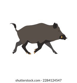 
Tiergrafik. Running Wildschwein gezeichnet in einem flachen Stil. Einziger Gegenstand auf weißem Hintergrund. Vektor 10 EPS