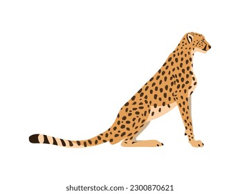 Animal illustration. Sitting cheetah drawn in a flat style. Isolated object on a white background. Vector 10 EPS